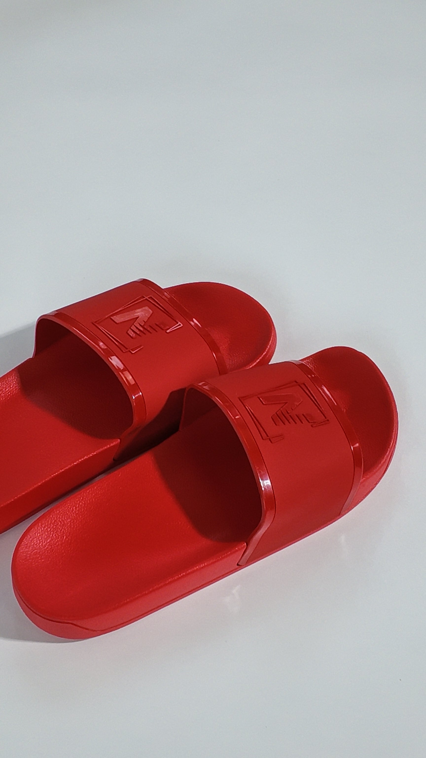 NVSN logo sliders red